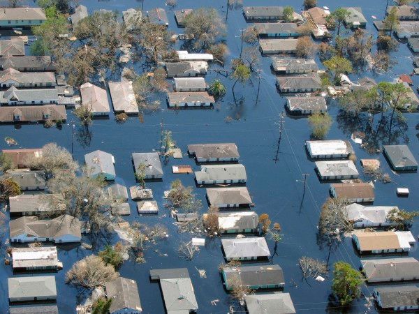 katrina3.jpg